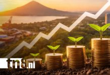 Foto: Economía de Nicaragua al alza / TN8