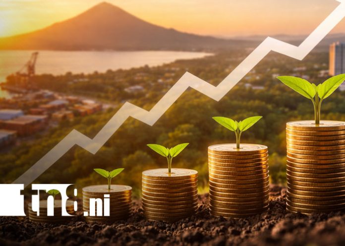 Foto: Economía de Nicaragua al alza / TN8