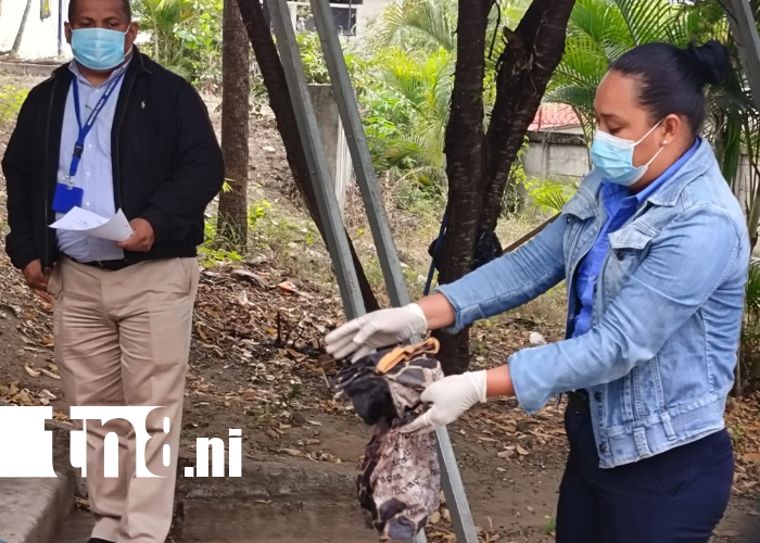Foto: Mujer a juicio por matar a un hombre en Nueva Segovia /Cortesía