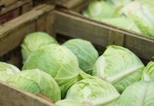 Foto: Productos de la canasta básica registraron una disminución en sus precios /TN8