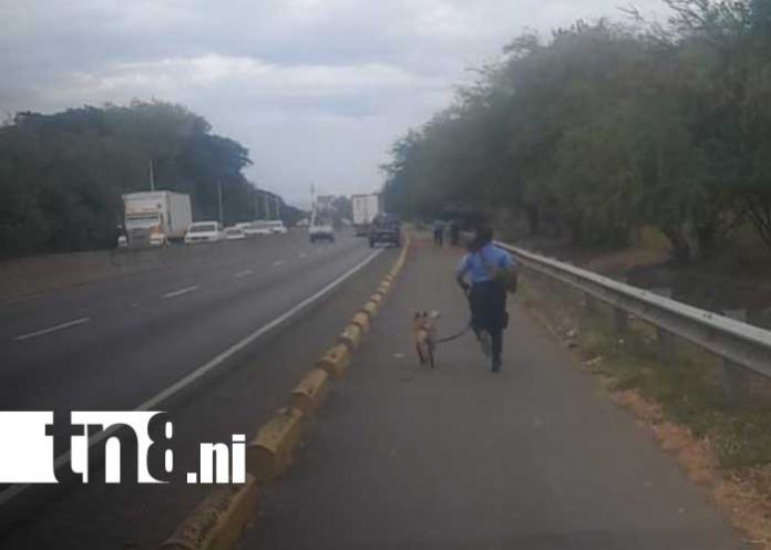 Foto: Hallazgo de cadáver en la Carretera Norte / TN8