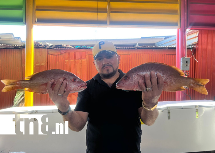 Foto: Pescado mareño fresco y económico en Israel Lewites /TN8