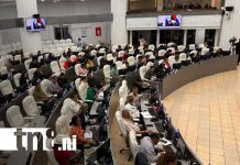 Foto: Sesión en el Parlamento de Nicaragua / TN8