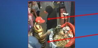 Foto: Captura de sujetos por veneno en el baho del Mercado Oriental
