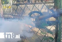 Foto: Fumigan y abatizan 860 viviendas en barrio El Recreo /TN8