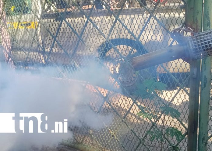 Foto: Fumigan y abatizan 860 viviendas en barrio El Recreo /TN8