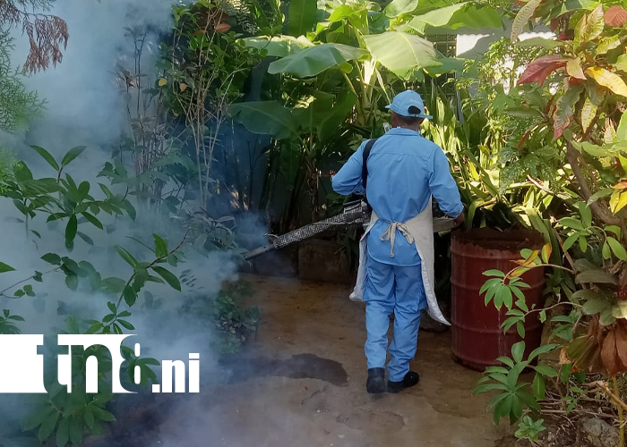 Foto: Fumigan y abatizan 860 viviendas en barrio El Recreo /TN8