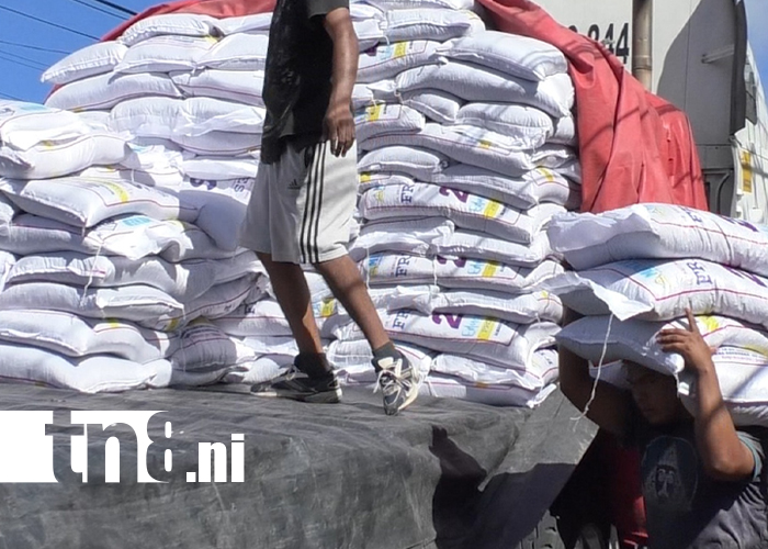 Foto: Merienda escolar 2026 llega a los 15 municipios de Matagalpa /TN8
