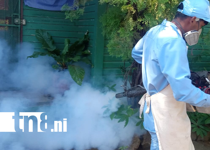 Foto: Fumigan y abatizan 860 viviendas en barrio El Recreo /TN8