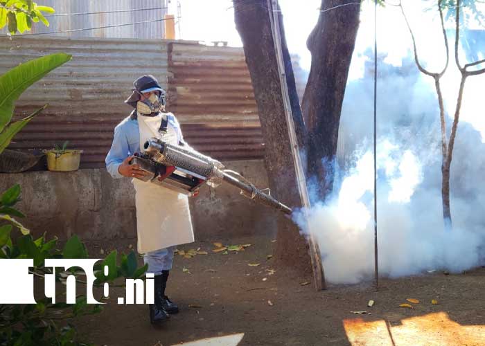 Foto: Fumigación en barrios de Managua / TN8