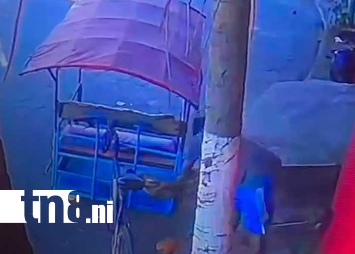 Foto: Captan a ladrón robando cocos en Chinandega / TN8