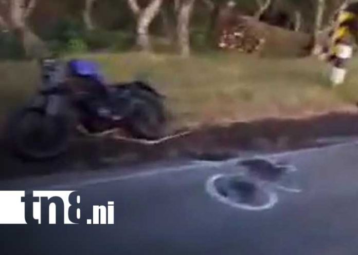 Foto: Accidente mortal deja a joven fallecido en Granada / TN8