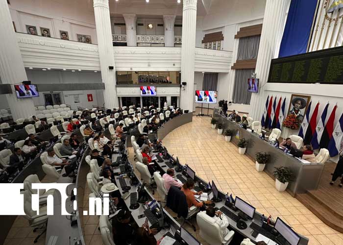 Foto: Sesión parlamentaria en la Asamblea Nacional de Nicaragua / TN8