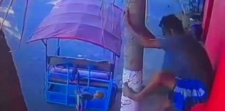 Foto: Captan a ladrón robando cocos en Chinandega / TN8