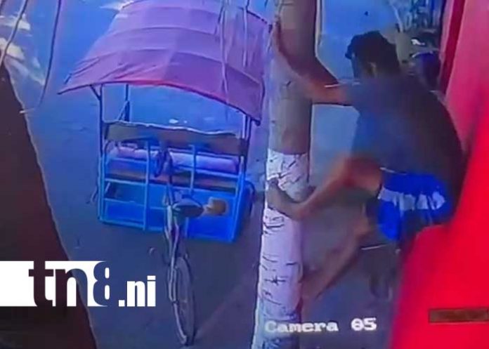 Foto: Captan a ladrón robando cocos en Chinandega / TN8