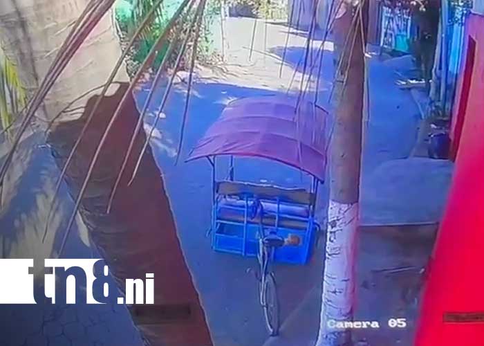 Foto: Captan a ladrón robando cocos en Chinandega / TN8