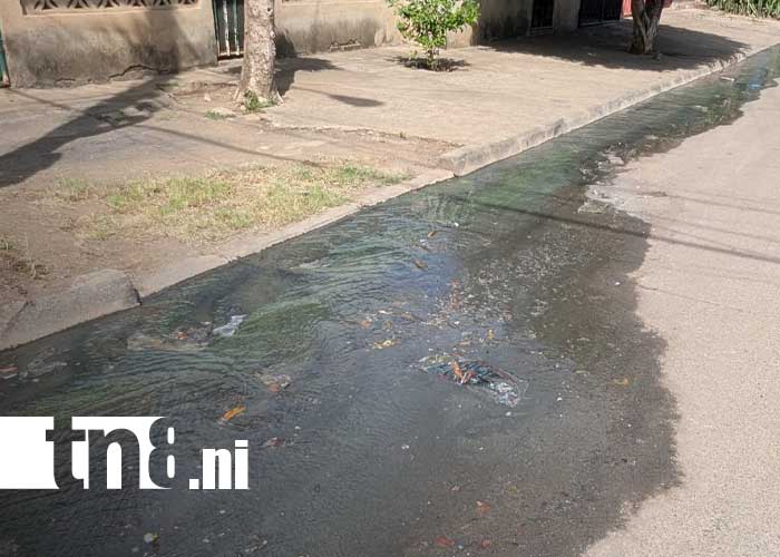 Foto: Mal olor en Laureles Norte, Managua / TN8