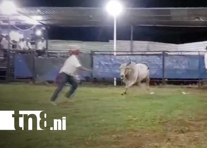 Foto: Lazador de toros resulta herido en barrera de Tola, Rivas / TN8