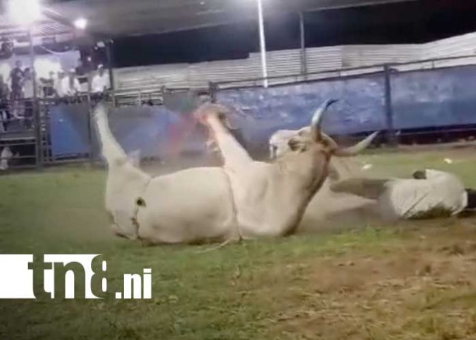 Foto: Lazador de toros resulta herido en barrera de Tola, Rivas / TN8
