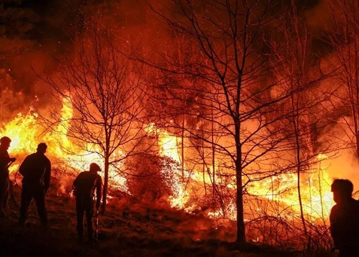 Foto: Duelo por los 21 muertos de los incendios en Chile /Cortesía