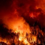 Foto: Duelo por los 21 muertos de los incendios en Chile /Cortesía