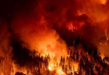 Boric decreta dos días de duelo por las 21 víctimas de los incendios en Chile Foto: Duelo por los 21 muertos de los incendios en Chile /Cortesía