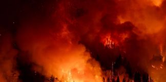 Foto: Duelo por los 21 muertos de los incendios en Chile /Cortesía