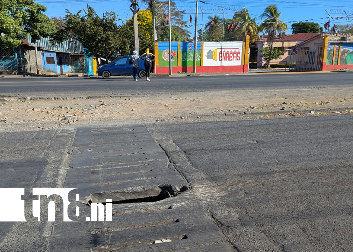 Foto: Conductores piden reparación urgente de rejilla en la Carretera Norte /TN8