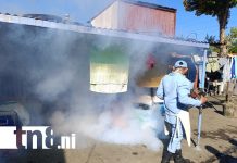 Foto: 859 viviendas fumigadas en El Acahualinca /TN8