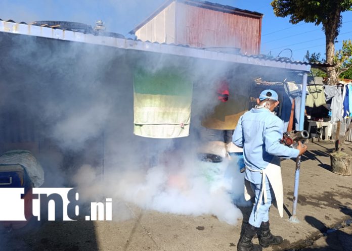 Foto: 859 viviendas fumigadas en El Acahualinca /TN8