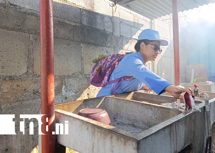 Foto: 859 viviendas fumigadas en El Acahualinca /TN8