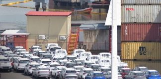 Foto: Exportaciones de azúcar y productos agrícolas impulsan la economía de Nicaragua / TN8