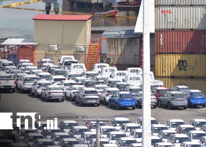 Foto: Exportaciones de azúcar y productos agrícolas impulsan la economía de Nicaragua / TN8