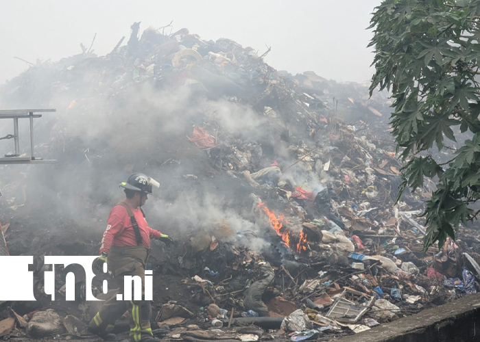 Foto: Fuego barrio Grenada controlado tras 15 horas de trabajo /TN8