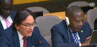 Foto: Nicaragua reelegida como Vicepresidente del Comité Palestina en la ONU / Cortesía