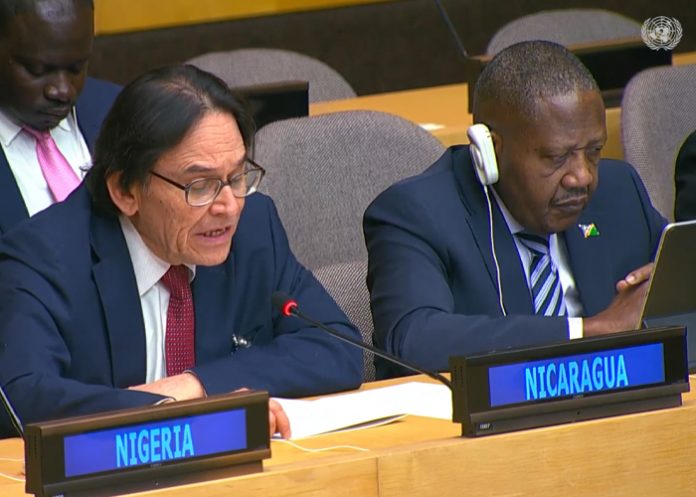 1 Foto: Nicaragua reelegida como Vicepresidente del Comité Palestina en la ONU / Cortesía