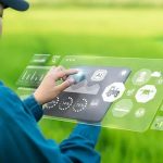 Foto: La inteligencia artificial impulsa el rendimiento agrícola en India/Cortesía