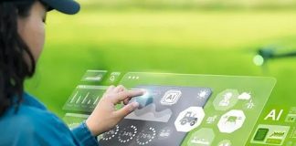 Foto: La inteligencia artificial impulsa el rendimiento agrícola en India/Cortesía
