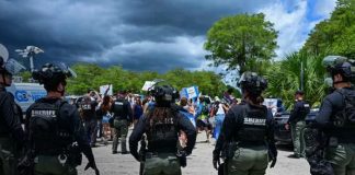 Foto: ICE despliega operativo masivo /cortesía