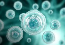 India crea método para preparar células en terapias contra el cáncer Foto: India lidera en inmunoterapia /cortesía