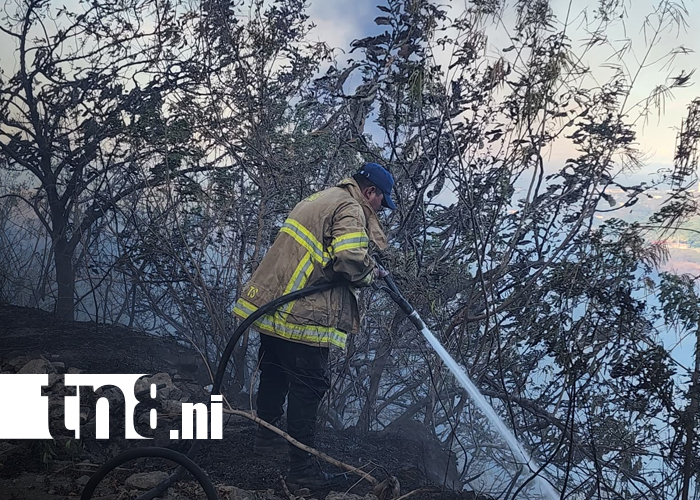 Foto: Caza de garrobos y quema de basura habrían provocado incendio en el cerro Motastepe/TN8