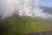 Incendio arrasa el Chaco paraguayo mientras Argentina sigue en llamas Foto: Incendios forestales en Paraguay - Argentina /cortesía