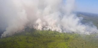 Foto: Incendios forestales en Paraguay - Argentina /cortesía