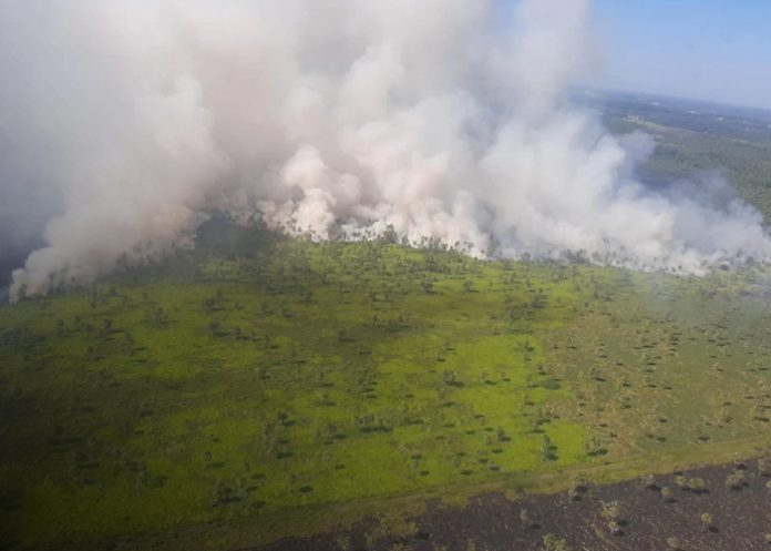 Foto: Incendios forestales en Paraguay - Argentina /cortesía