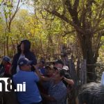 Foto: San Francisco del Norte: feligreses atacados por enjambre / TN8