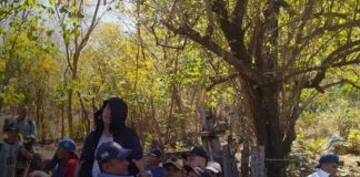 Foto: San Francisco del Norte: feligreses atacados por enjambre / TN8