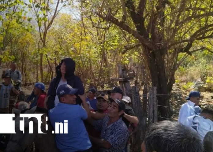 Foto: San Francisco del Norte: feligreses atacados por enjambre / TN8