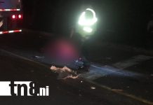 Peatón fallece tras colisión de camiones en la carretera hacia El Espino, Madriz Foto: Peatón fallece tras colisión de camiones en la carretera hacia El Espino, Madriz/TN8