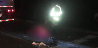 Foto: Peatón fallece tras colisión de camiones en la carretera hacia El Espino, Madriz/TN8