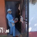 Foto: Febrero inicia con lucha intensa contra el dengue en Monseñor Lezcano / TN8